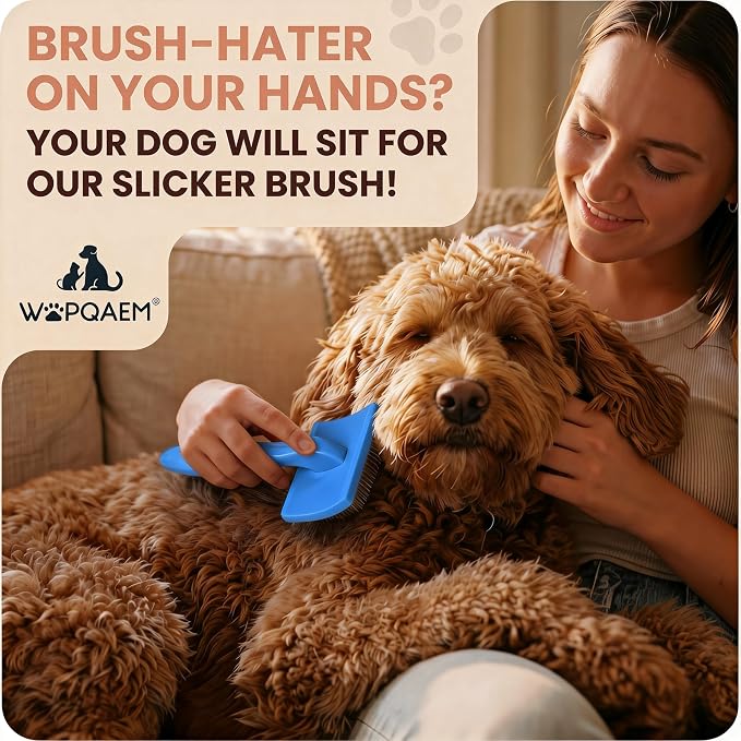Wooden Long Pin Slicker Brush for Large Dogs, Doodles, Poodles, Long Hair | Grooming, Detangling, and Fluffing for Wavy and Curly Hair—Designed for Heavy, Thick Coats to Prevent Matting at Home