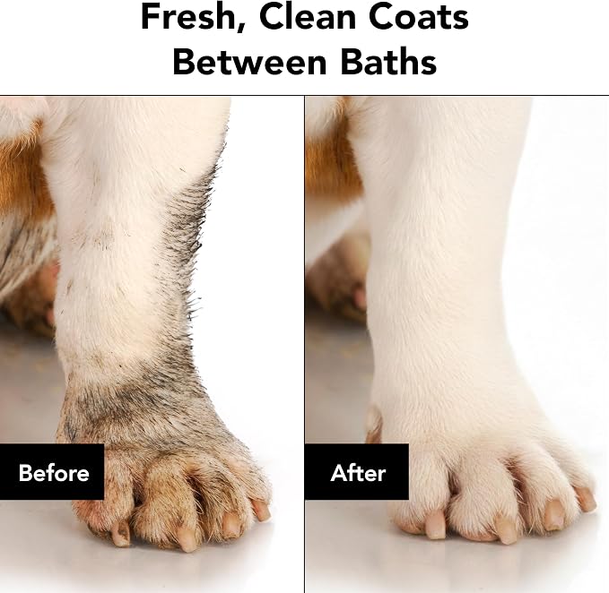 Pride and Groom The Mane Tame Dog Dry Shampoo – Waterless Foam for Dogs and Cats Made in USA for a Rinse Free Cleanse and to Eliminate Odor in Between Baths On-The-Go – 7.1 fl oz