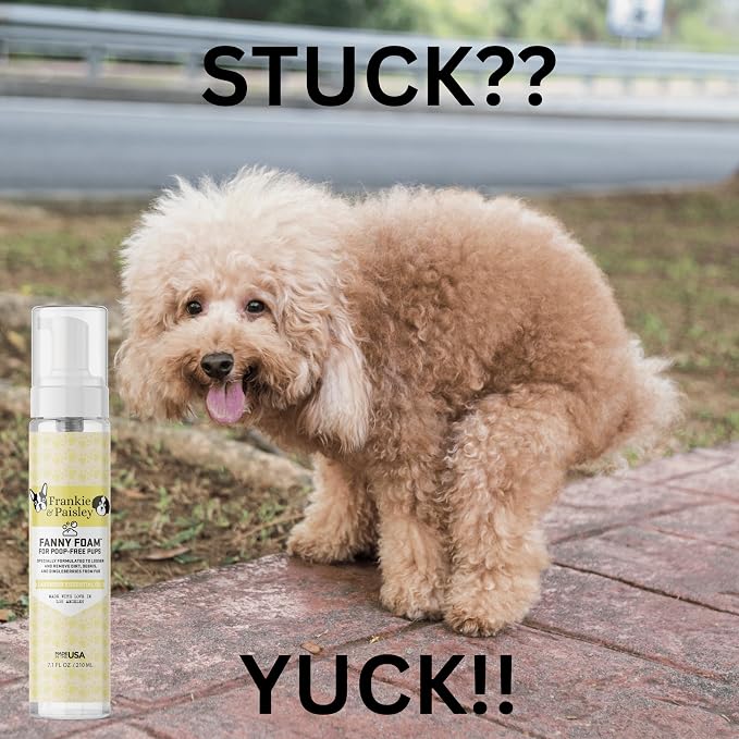 No Rinse Dog Shampoo & Paw Cleaner - Waterless Wash for Dogs & Cats - Gentle, Painless Dingleberry Removal