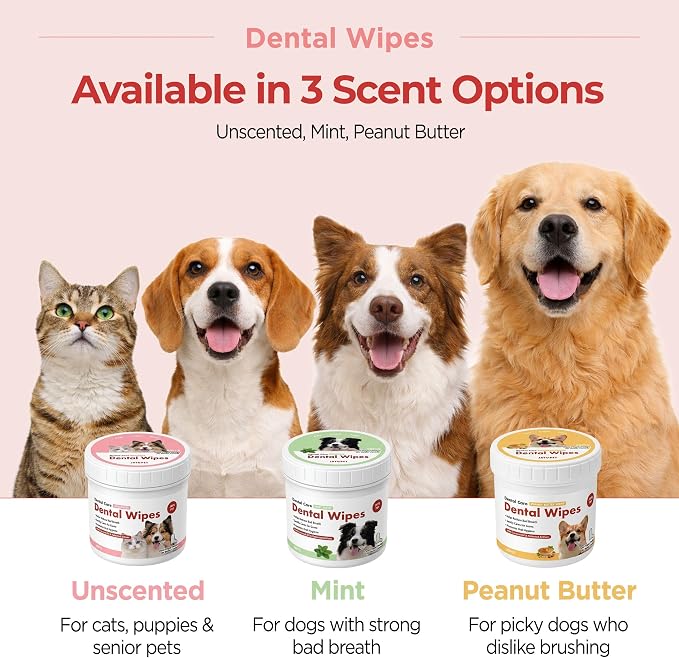 JAYU PET Peanut Butter Scent Dental Finger Wipes for Dogs 50 Count | No-Rinse, Dual-Finger, Oral Care, Teeth Cleaning