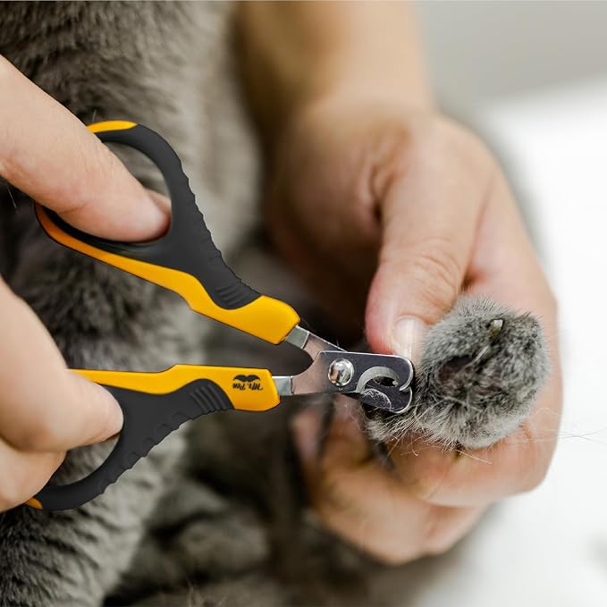 Mr. Pen- Cat Nail Clipper, Stainless Steel | Professional Sharp Cat Claw Trimmer for Small and Medium Cats, Pet Nail Clipper with Sturdy Non Slip Handle