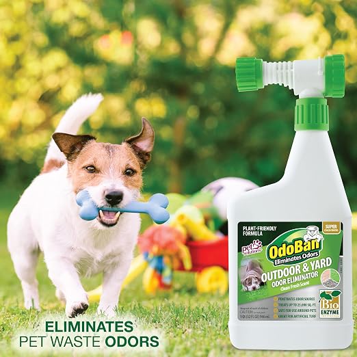 OdoBan Outdoor and Yard Odor Eliminator, Plant-Friendly Formula, Made in the USA, Clean Fresh Scent, 32 Fluid Ounce Bottle with Hose End Sprayer, 6-Pack