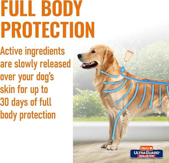 Hartz UltraGuard Dual Action Flea & Tick Topical Dog Treatment and Flea and Tick Prevention, 6 Months, 5-14 Pound Dogs 6-count(Pack of 1)
