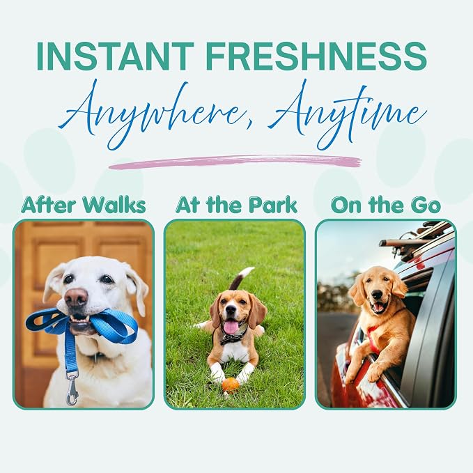 Dry Shampoo Powder & Coat Deodorizer for Dogs (Cucumber Melon) | Waterless No-Rinse Squeeze Bottle Formula | Calming Scent | Talc and Alcohol Free | Safe for Sensitive Skin | Made in USA