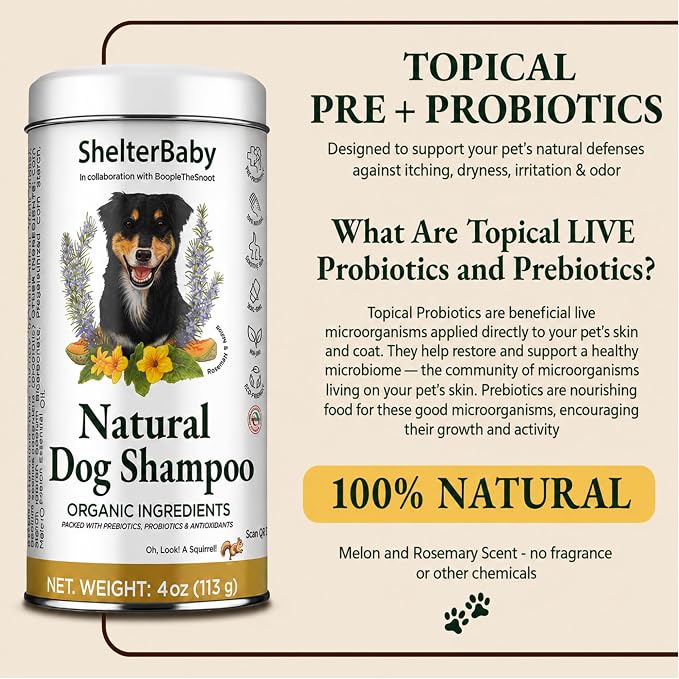 Dry Shampoo for Dogs – Antifungal Itchy Skin & Hot Spot Relief, Yeast Infection & Paw Licking Treatment, Dog Powder with Allergy Support