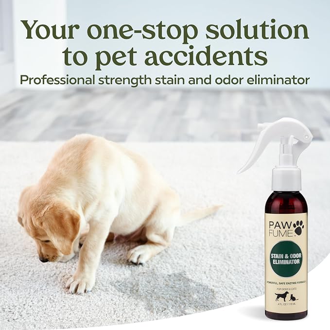 PAWFUME Stain & Pet Urine Odor Eliminator, 2-Pack – Removes Impurities in Seconds – Enzymatic Formula, Quick-Dry Action, & Eco-Friendly Ingredients – Upholstery, Fabrics, and Carpet Cleaner Spray