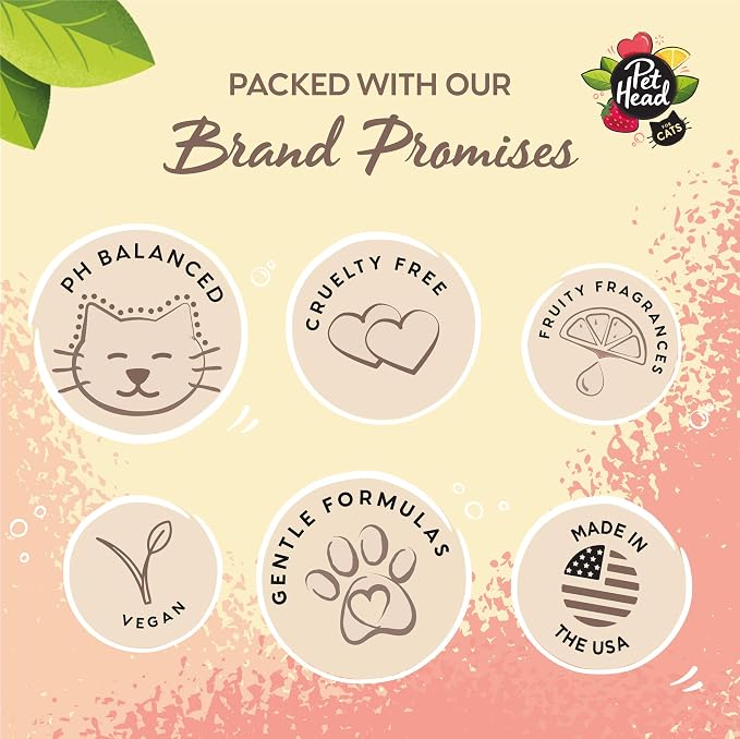 Pet Head Felin' Good Cat No Rinse Foam | Fruity Scent with Aloe Vera | Dry Cat Shampoo for Smelly Cats | Vegan | Lick-Safe | Gentle Formula for Kittens | Made in USA | 6.7 fl. oz.