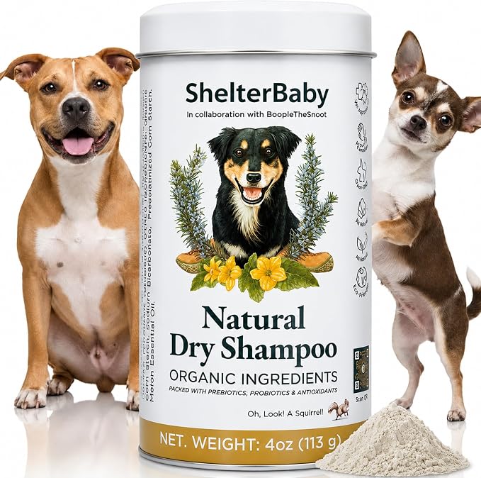 Dry Shampoo for Dogs – Antifungal Itchy Skin & Hot Spot Relief, Yeast Infection & Paw Licking Treatment, Dog Powder with Allergy Support