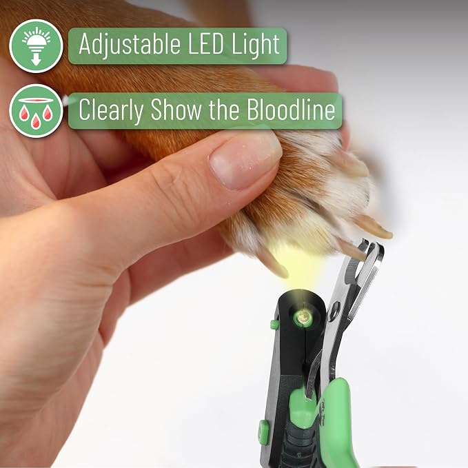 Mr. Pen- Cat Nail Clipper with Adjustable LED Light, Green Cat Nail Trimmer | Cat Claw Clippers, Cat Clippers for Nails, Pet Nail Clippers, Kitten Nail Clipper, Small Dog Nail Clipper Cat Claw Trimmer