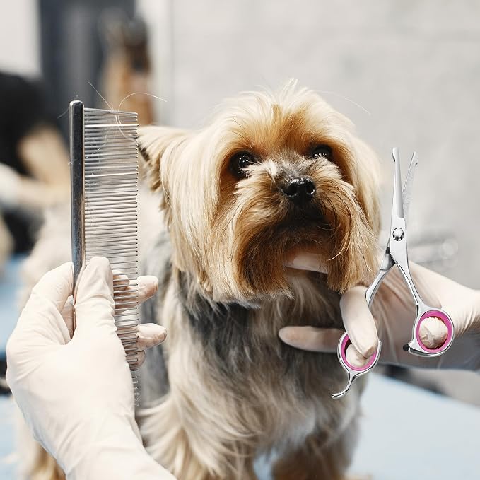 Fcysy 4.5 Inch Dog Grooming Scissors with Safety Round Tips (4.5 IN Cherry)