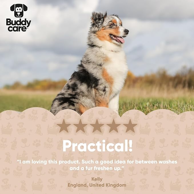 Buddycare 2in1 Conditioning Waterless Dry Dog Shampoo – No Rinse Quick Clean Foam, with Aloe & Pro Vitamin B5, Nourishing Coat & Skin Care, Travel Friendly, SLS & Paraben Free, Vegan Pet Grooming