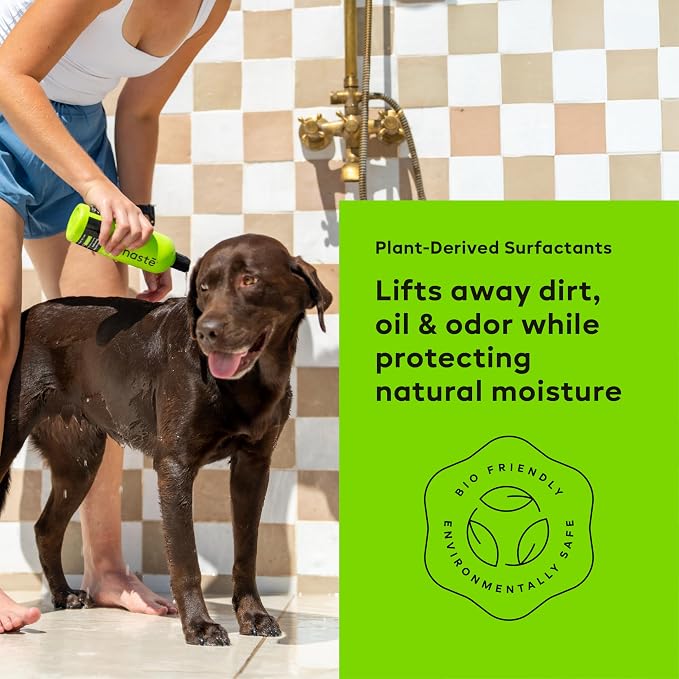 Nonaste Oatmeal and Aloe Dog Shampoo (16 Oz, Pack of 1) – Dog Shampoo Itchy Skin Relief & Sensitive Skin Made with USDA Certified Aloe – Deodorizing Dog Shampoo for Dry Skin and Dog Itchy Skin Relief