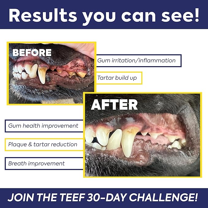 Teef For Life Protektin42 Plant-Derived Prebiotic Dental Powder for Dogs, Daily Dental Care, Clinically-Proven Formula Naturally Fights Plaque and Tartar, Dental Kit with 180 Servings