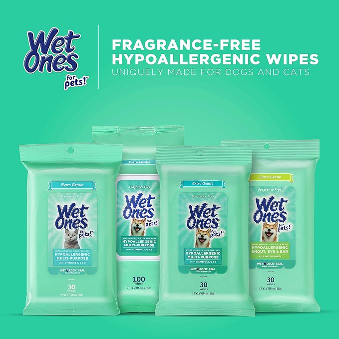 Wet Ones for Pets Extra Gentle Dog Wipes with Witch Hazel - Fragrance-Free, Hypoallergenic Pet Grooming Wipes for Snout, Eye, and Ear Areas, Sensitive Skin, 30 Count - 24 Pack