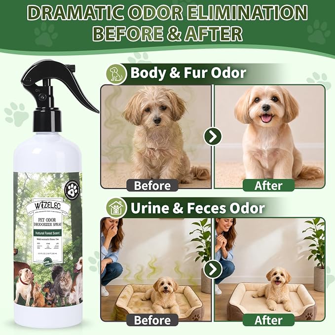 Pet Odor Deodorizer Spray,16.9 Fl Oz & Two 3.4 Fl Oz Mini Bottles - Dog Deodorizing Spray Natural Forest Scent Pet Odor Neutralizer for Smelly Dogs for Home Pets Potty Furniture