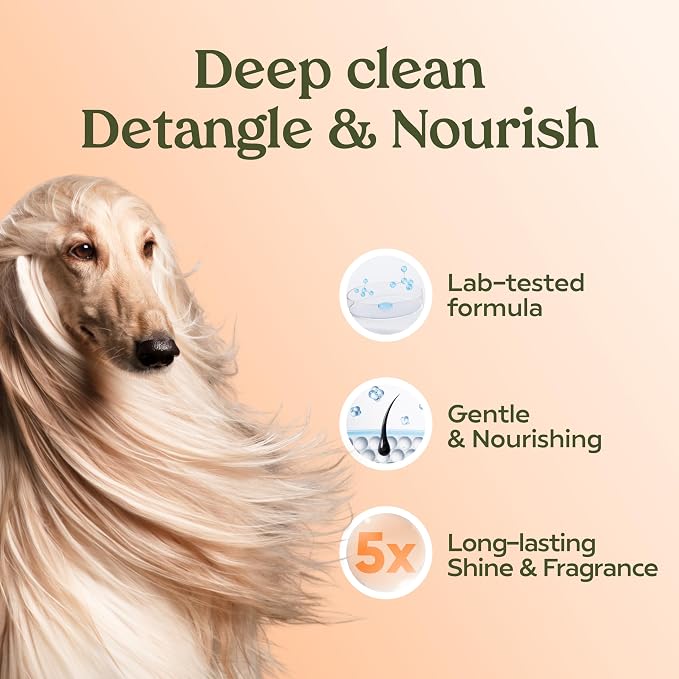 PAWFUME Deshedding Dog Shampoo and Conditioner, Show Dog, 4-Pack – Nourish & Detangle for Silky Soft Coat – Probiotic, Deep-Cleaning, pH-Balanced Formula – Salon-Quality Shampoo for Dogs