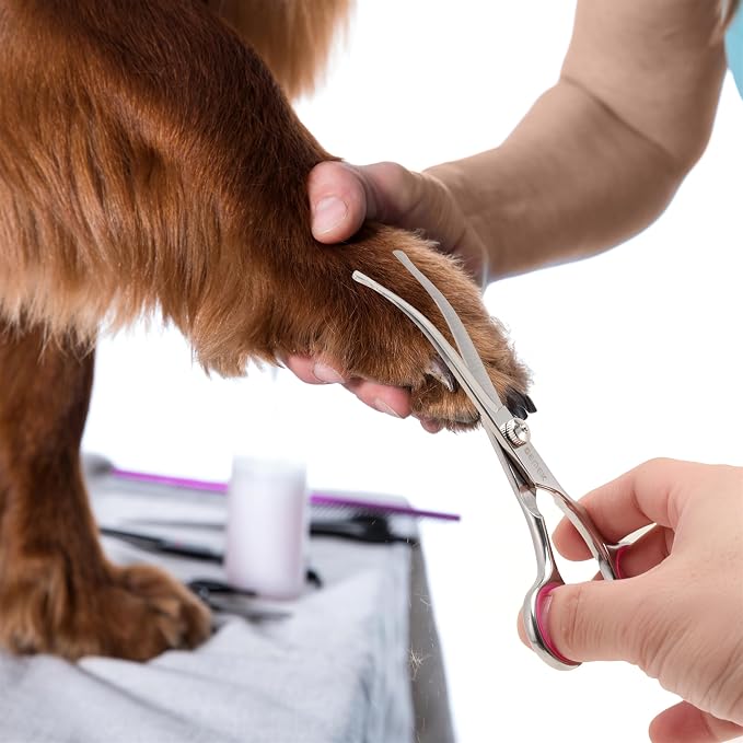 Dog Grooming Scissors with Safety Round Tips Stainless Steel Professional Dog Grooming Kit - Thinning, Curved Scissors and Comb for Cat Pet (Pink 4 in 1)