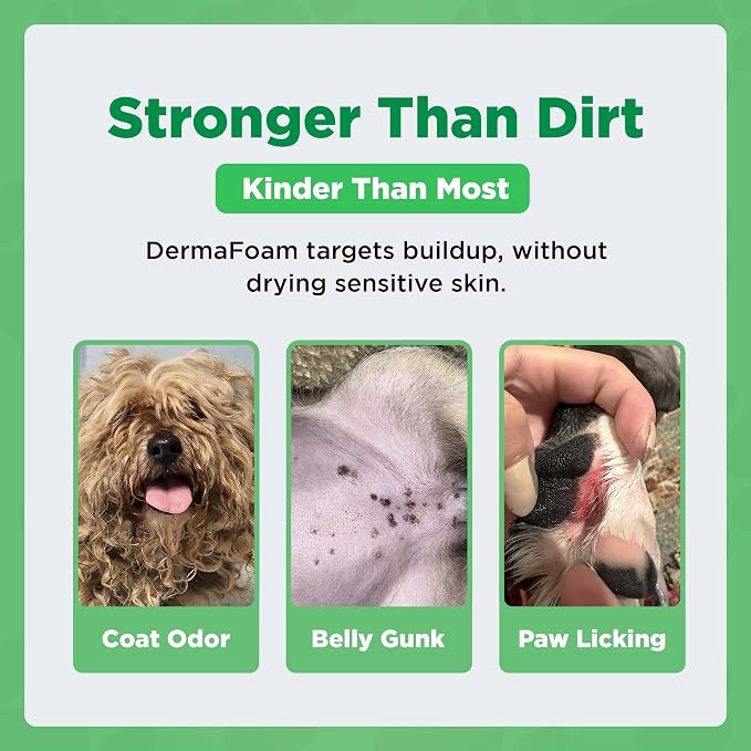 DermaFoam Dog Shampoo 16 oz | Pet Supplies for Odor Control & Greasy Coats – Sulfate Free Moisturizing Formula Pet Shampoo, Fresh Cucumber Scent 500ml