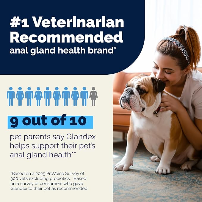 Vetnique Glandex Rear End Wipes for Dogs & Cats, Anal Gland Hygiene & Deodorizing Dog Wipes for Paws and Butt, Boot The Scoot with DeoPlex Enzyme, Aloe & Vitamin E (100ct)