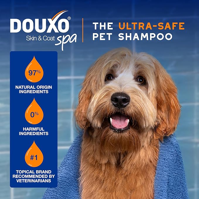 DOUXO SPA 2 in 1 Dog Shampoo and Conditioner, 16 fl oz, Hydrates the Skin, Leaves the Coat Soft and Detangled, Ultra-Safe Formula