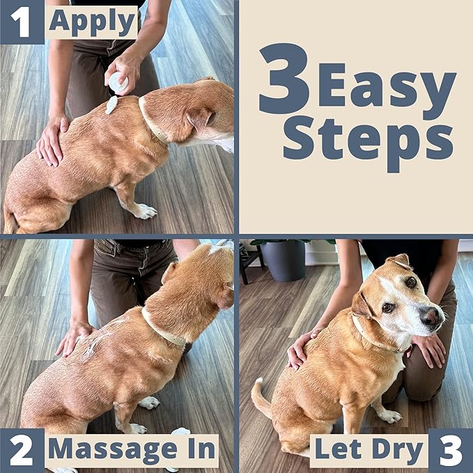 Paw Choice Dog Dry Shampoo - Hypoallergenic Waterless No Rinse Foam - Natural Coconut-Derived Cleanser - Quickly Deodorizes, Cleans & Conditions Between Baths - Made in USA - Mango Pomegranate