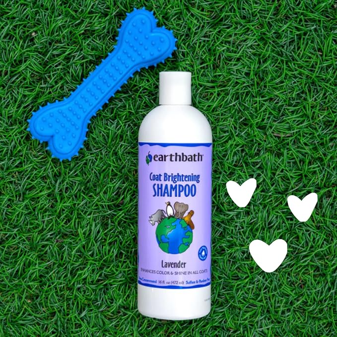 earthbath, Lavender Dog Shampoo - Coat Brightening Shampoo for Dogs, Deodorizing Dog Wash, Made in USA, Shampoo for Smelly Dogs, Cruelty Free Pet Shampoos - 16 Oz (1 Pack)