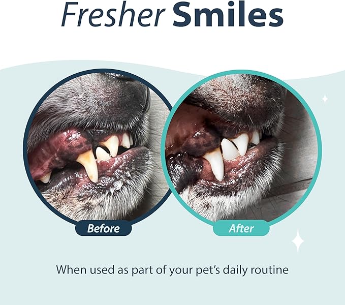 Dental Fresh Oral Spray for Dogs and Cats, Eliminates Bad Breath and Protects Their Teeth & Gums, 4 Fl Oz.