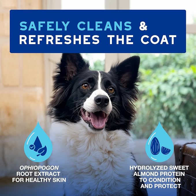 DOUXO SPA Waterless Dog Shampoo, 10 fl oz, Leave-On Mousse, Cleans and Refreshes, Leaves the Coat Soft, Radiant and Smelling Great, Ultra-Safe Formula