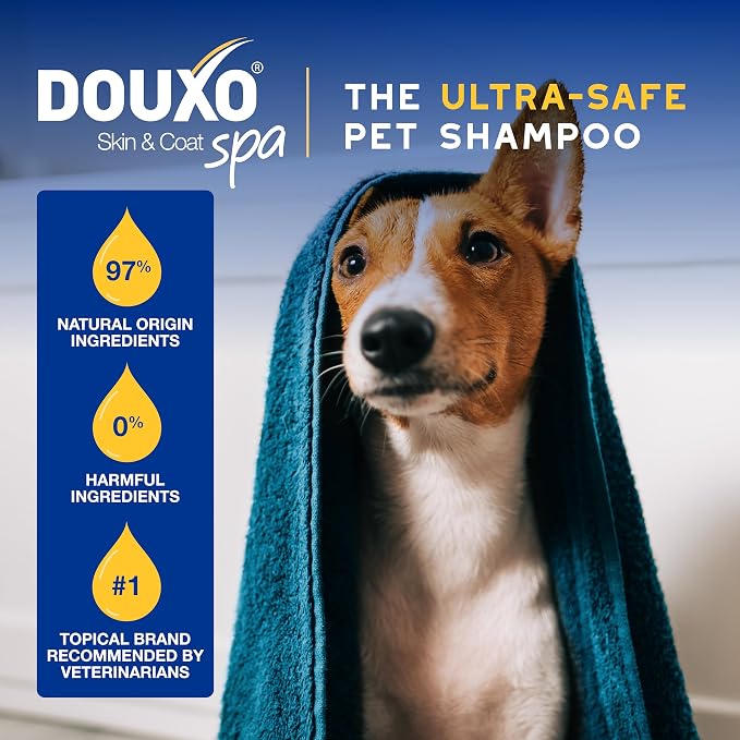 DOUXO SPA Oatmeal Dog Conditioner, 16 fl oz, Detangles and Moisturizes, Leaves the Coat Soft, Silky and Radiant, Ultra-Safe Skin-Friendly Formula