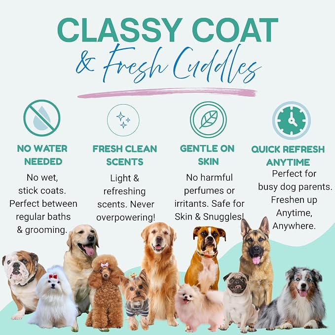 Dry Shampoo Powder & Coat Deodorizer for Dogs (Cucumber Melon) | Waterless No-Rinse Squeeze Bottle Formula | Calming Scent | Talc and Alcohol Free | Safe for Sensitive Skin | Made in USA