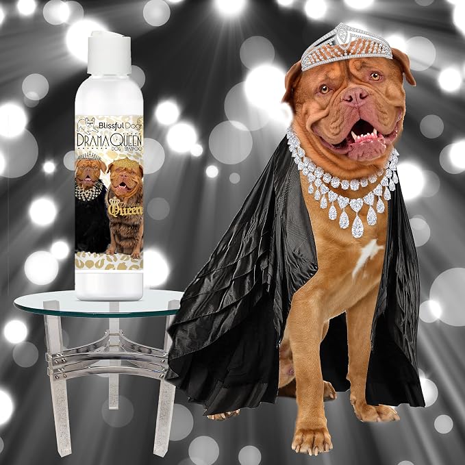 The Blissful Dog Dogue De Bordeaux Drama Queen Shampoo, 8 Oz