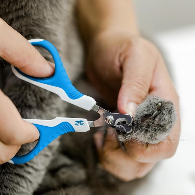 Mr. Pen- Cat Nail Clipper, Stainless Steel | Professional Sharp Cat Claw Trimmer for Small and Medium Cats, Pet Nail Clipper with Sturdy Non Slip Handle