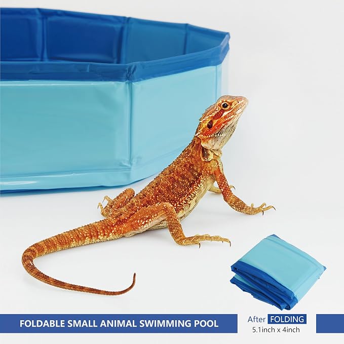Bearded Dragon Foldable Bath Pool with Bath Brush, Bathrobe, Towel, Spray Pot and Tweezer, for Puppy Small Dogs Cats (Blue, 20 x 3.6inch)