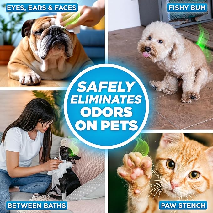 POOPH® Pure Wipes™ – 100 Count Pack – Gentle, Fast Odor Elimination – No Fragrances, No Harsh Chemicals – Cleans Paws, Butt, Ears, Face, Fur – Perfect for Cars, Crates, All Surfaces