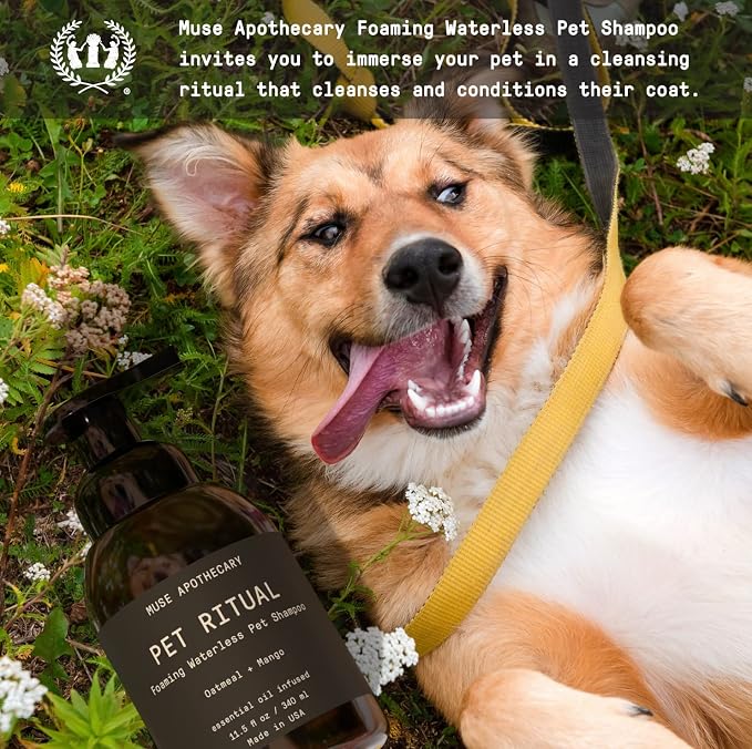 Muse Apothecary Pet Ritual Foaming Waterless Dog Shampoo - No Rinse Dry Shampoo for Dogs & Cats - Essential Oils Infused, 11.5oz Lavender Fields