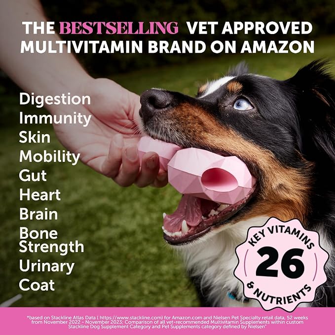 Pet Honesty Ultimate Skin & Wellness Virtual Bundle Duo — Chlorhexidine Itch Relief Shampoo (16 oz) + 10-in-1 Multivitamin Soft Chews (90 ct)