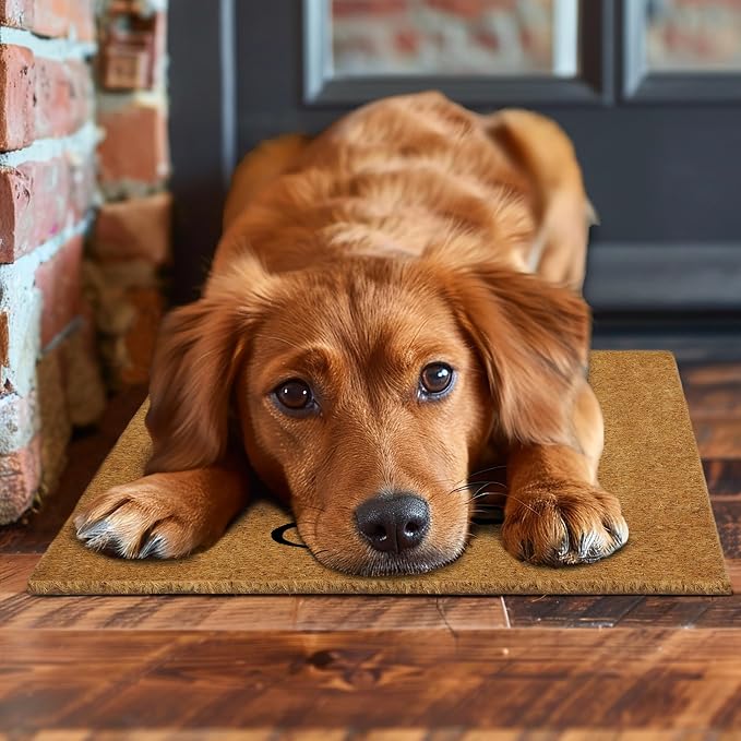 Croft&Cane Welcome Doormat – Non Slip Natural Coco Coir Door Mat - Low Profile Vinyl Backed Front Doormat - Indoor Outdoor Entryway Rug - 17 x 30 Inches