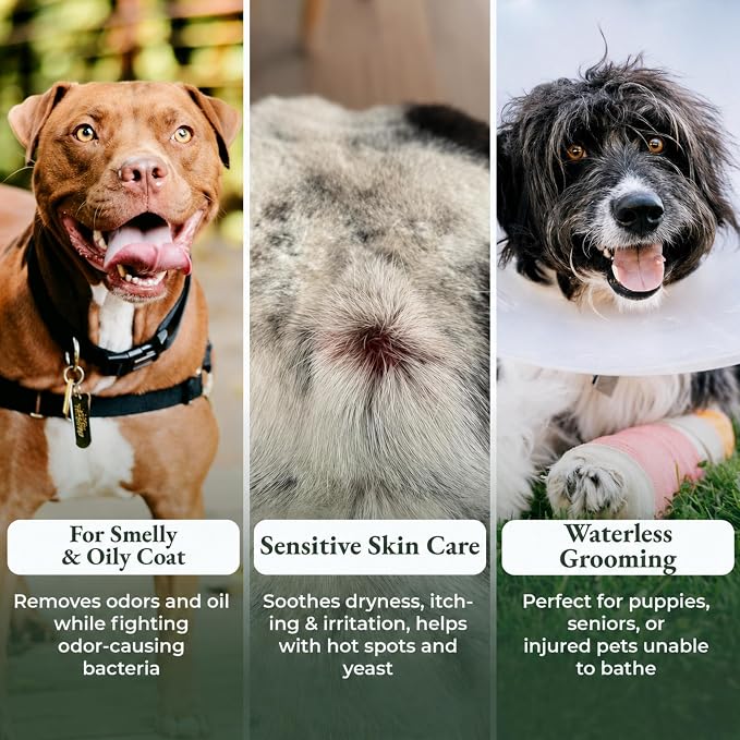 Dry Shampoo for Dogs – Antifungal Itchy Skin & Hot Spot Relief, Yeast Infection & Paw Licking Treatment, Dog Powder with Allergy Support