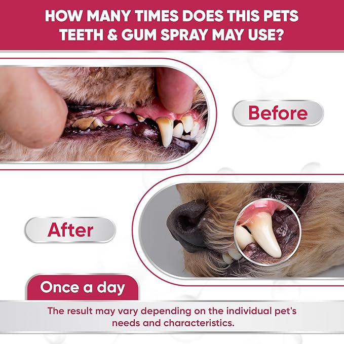 Dental Spray for Pets – Cat & Dog Breath Freshener that Helps with Tartar, Plaque, & Bad Odor – Silver 50 PPM + Valerian Flavour for Dog Teeth Cleaning – 4 Oz