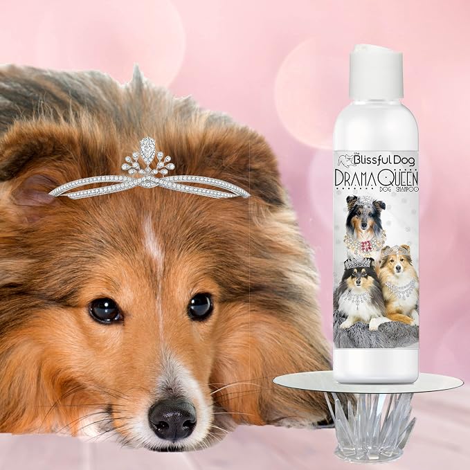 The Blissful Dog Shetland Sheepdog Drama Queen Shampoo, 16 oz.