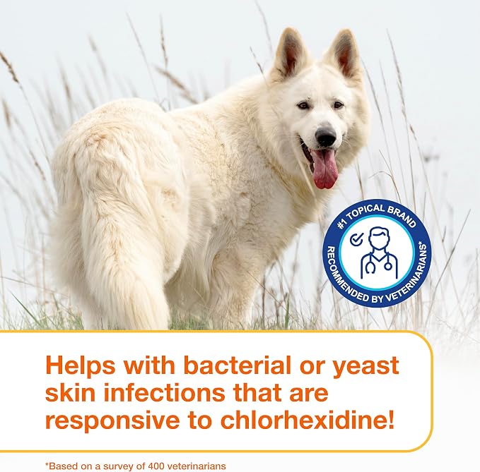 Douxo S3 PYO Chlorhexidine Shampoo For Dogs, Medicated Shampoo Antibacterial & Antiseptic, Yeast Infection Treatment for Dogs & Cats, Clinically Proven, 16.9 fl oz
