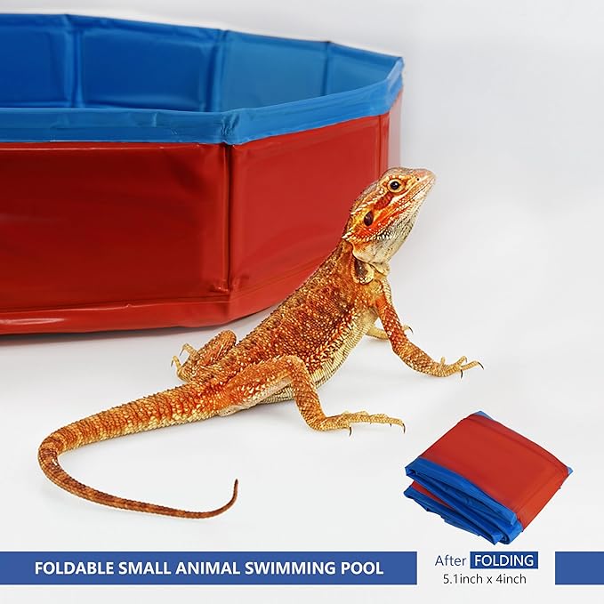 Bearded Dragon Foldable Bath Pool with Bath Brush, Bathrobe, Towel, Spray Pot and Tweezer, for Puppy Small Dogs Cats (Red, 20 x 3.6 inch)