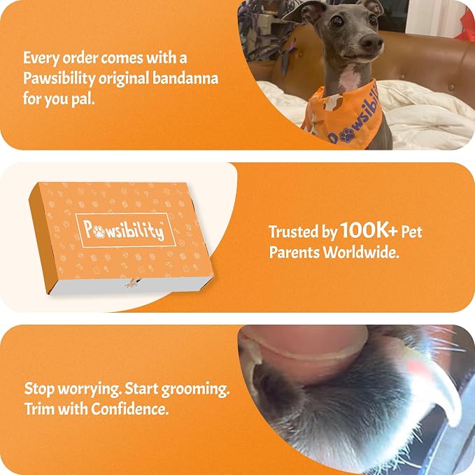 Pawsibility Pet Nail Clipper PRO 2027 - Quick-Vision LED Light | 2-Stage Adjustable Professional Grade Stainless Sharp Blade | Adjustable Magnifier Safety Guard - [for Medium and Large Dogs]