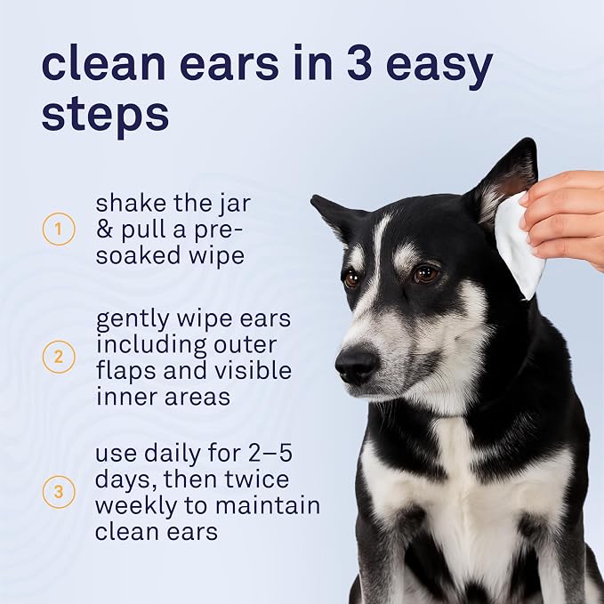 Petpost Large Dog Ear Cleaner Wipes | Ultra Soft XL Cotton Pads in Coconut Oil Aloe Solution | Remedy for Dog Ear Rinse & Cleanser 60 ct.