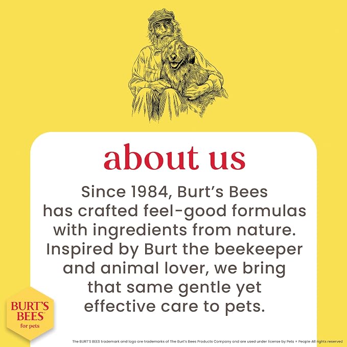 Burt's Bees for Pets Tearless Kitten Shampoo with Buttermilk and Honey, 99% Natural Origin Gentle Cat Shampoo for Sensitive and Itchy Skin, pH Balanced and Fragrance-Free, 10 Fl Oz - 6 Pack