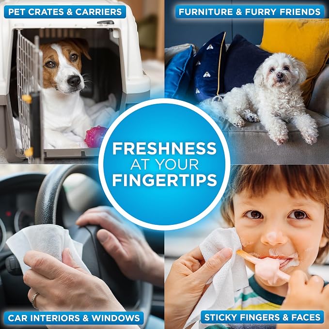 POOPH® Pure Wipes™ – 100 Count Pack – Gentle, Fast Odor Elimination – No Fragrances, No Harsh Chemicals – Cleans Paws, Butt, Ears, Face, Fur – Perfect for Cars, Crates, All Surfaces