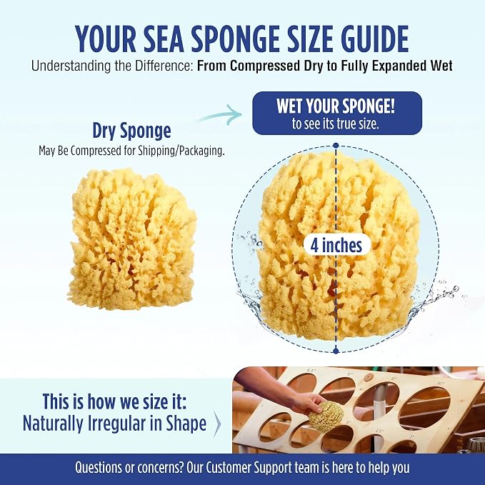Baby Buddy Baby Bath 4in Yellow Sea Sponge, Absorbent Natural Sea Sponge, Soft on Tender Skin, Biodegradable, Hypoallergenic, Bath Accessories for Bathing, 3 Pack