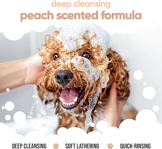 Curly Coat Dog Shampoo by Buddycare | Deep Cleansing Shampoo for Dogs | Fresh Scented | with Aloe Vera and Pro Vitamin B5 (169.07oz)