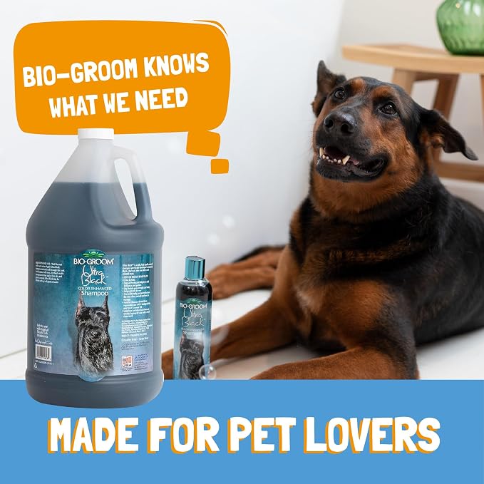 Bio-Groom Ultra-Black Dog Shampoo - Color Enhancing Pet Shampoo, Dog Bathing Supplies, Puppy Wash, Grooming Supplies, Cruelty-Free, Made in USA, Coat Brightener - 12 fl oz 1-Pack
