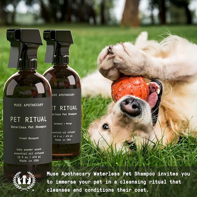 Muse Apothecary Pet Ritual Aromatic Waterless Shampoo for Pets - No Rinse Dog Shampoo - Waterless Shampoo for Cats - Waterless Dog Shampoo for Large Dogs - Essential Oils Infused, 16oz Oatmeal + Mango